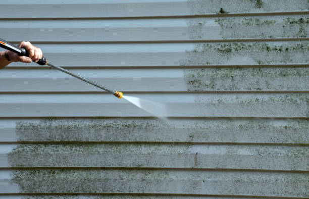 Trusted Tice, FL Pressure Washing Experts